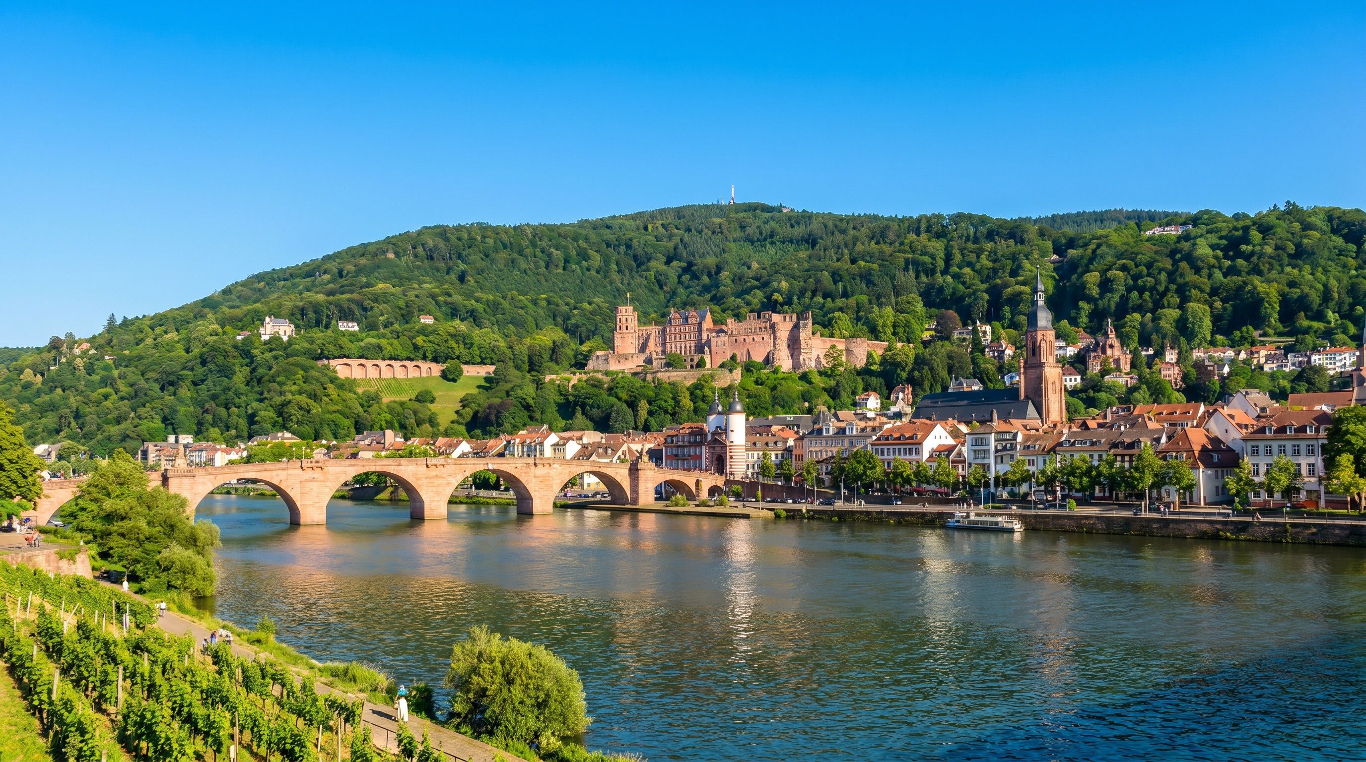 Heidelberg mit Schloss und Neckar